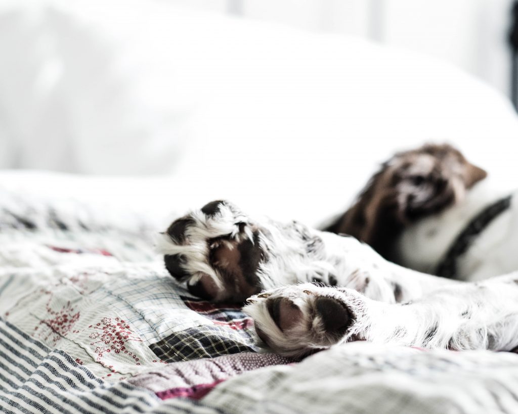 elevator pitch stories