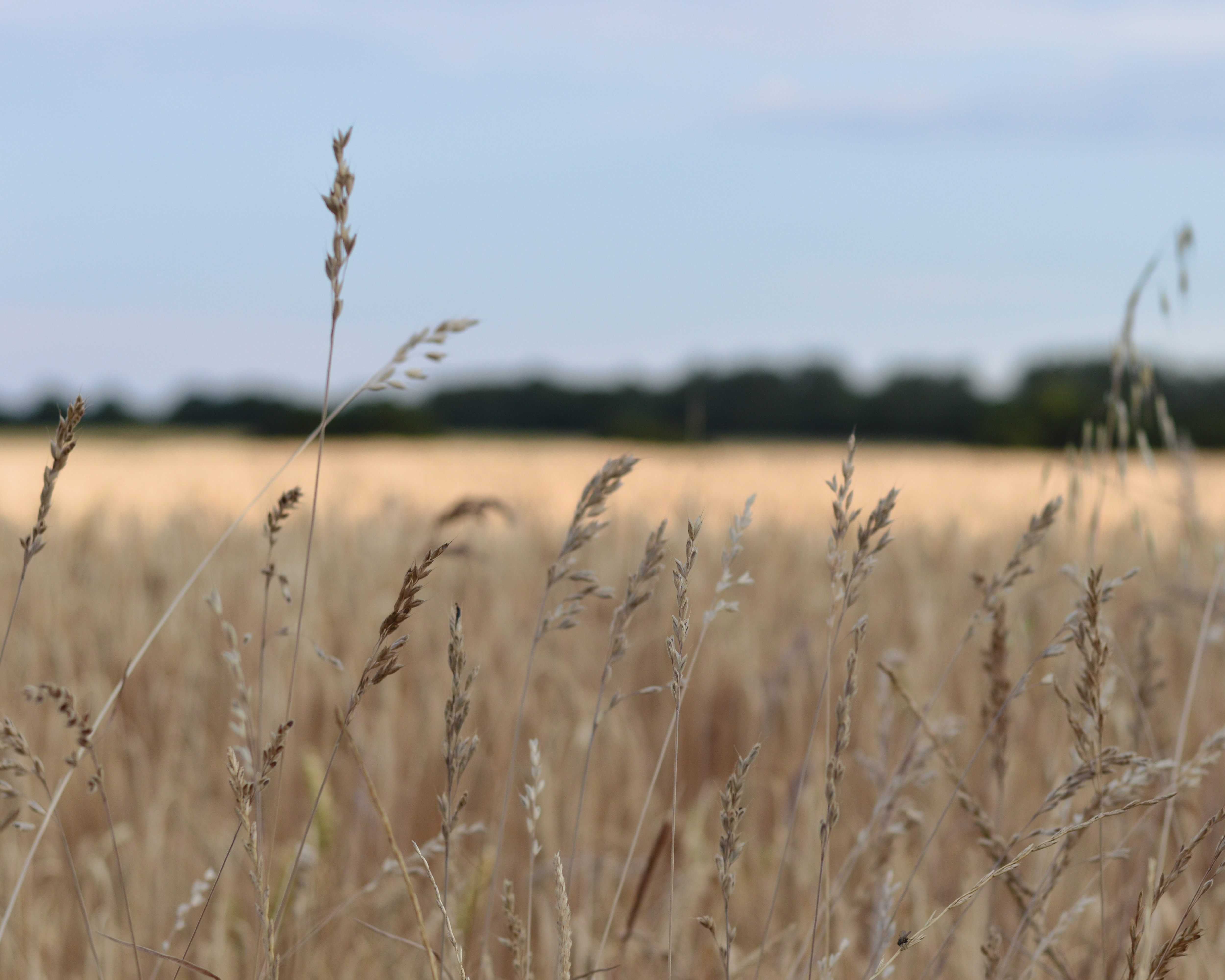 learning to dream big blog post