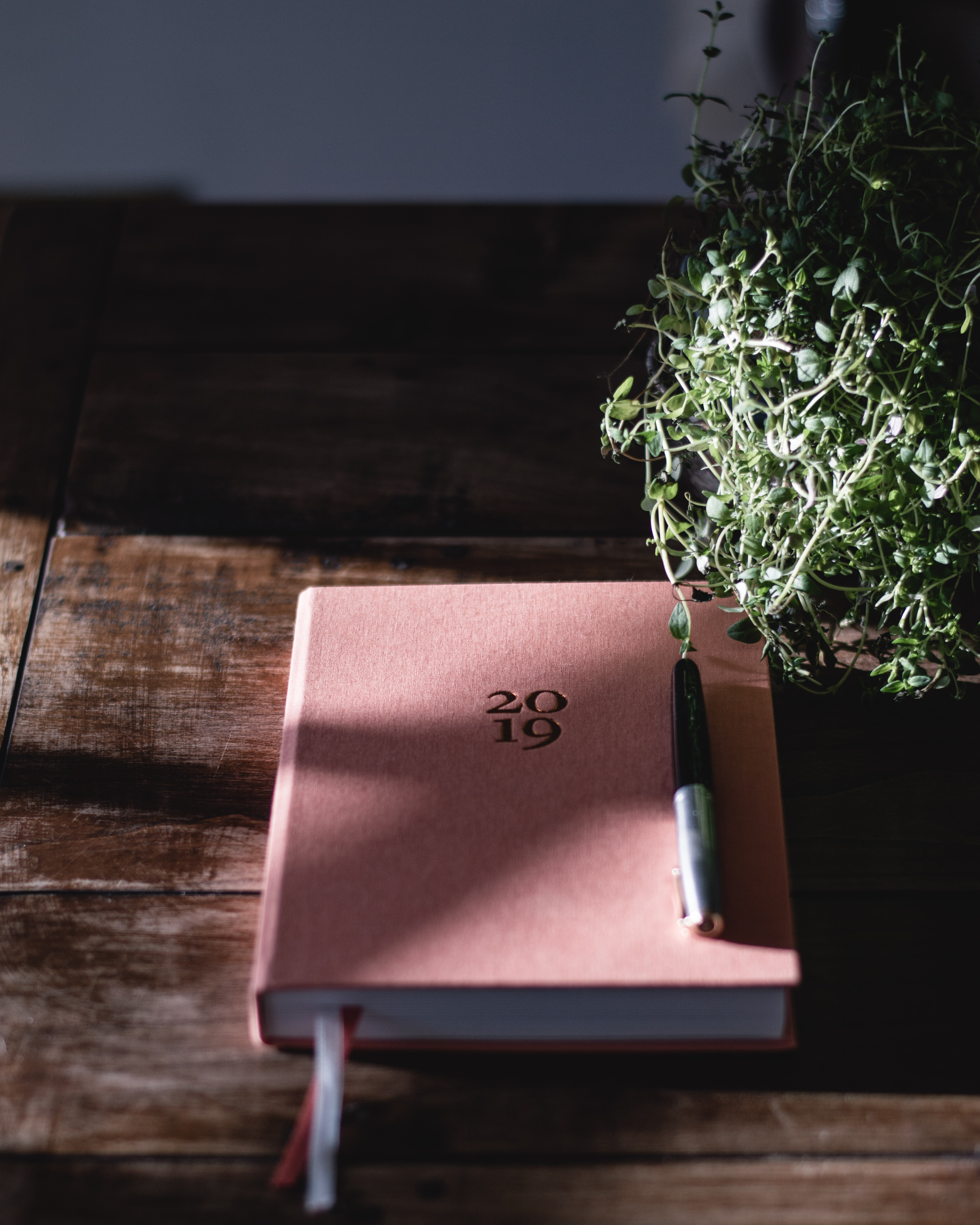 coral pink journal cover