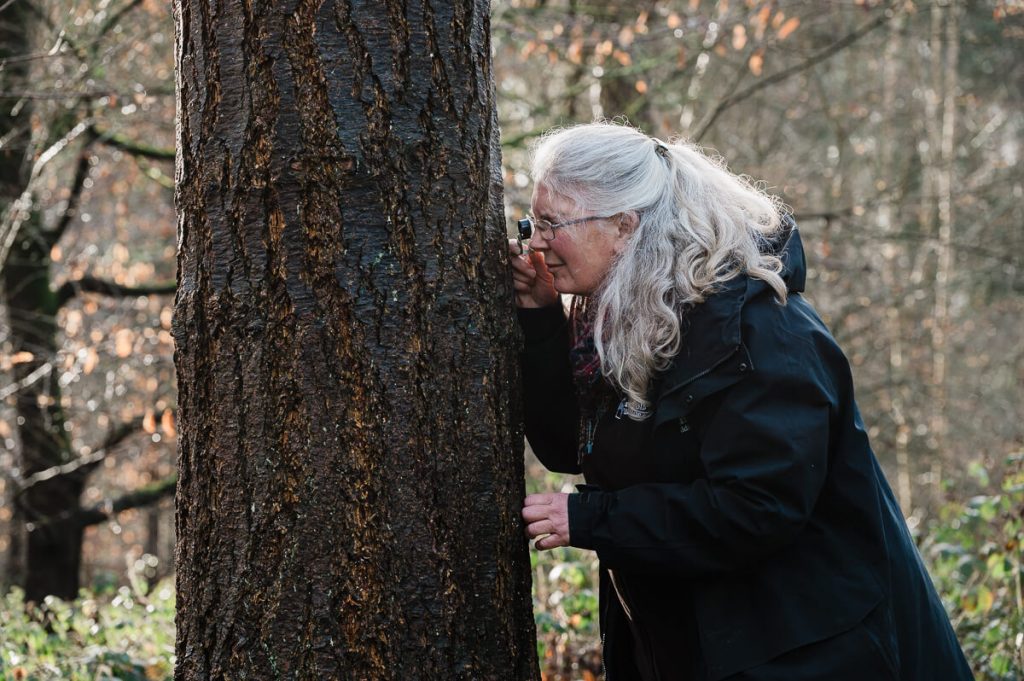 event-photography-capturing-woodland-wellbeing-in-suffolk